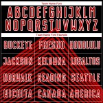 Uniform Jersey Lines Red-White Soccer Black Sublimation Custom